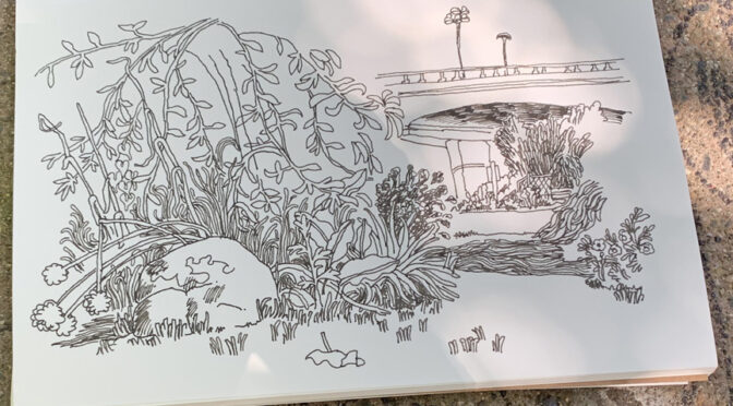 Back Sketching in the Rose Garden